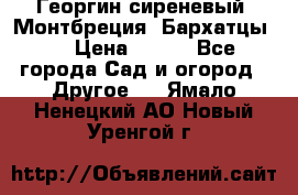 Георгин сиреневый. Монтбреция. Бархатцы.  › Цена ­ 100 - Все города Сад и огород » Другое   . Ямало-Ненецкий АО,Новый Уренгой г.